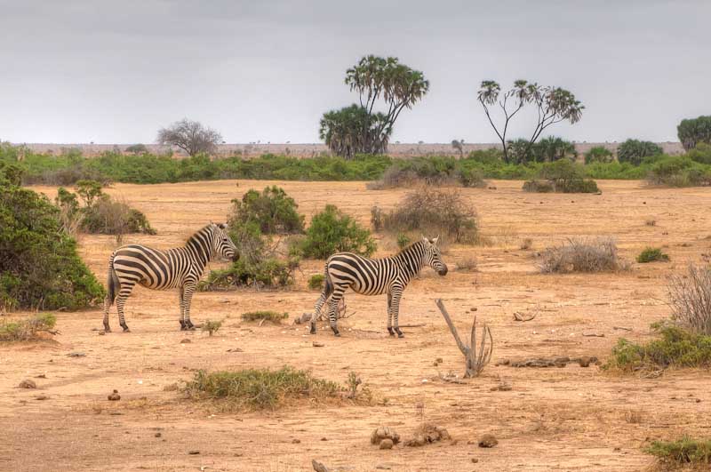 kenya_2012_KEN_1753_hdr